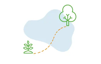 Reis door het bos - Tb icoontjes oefenpakketten 11 - OP-008